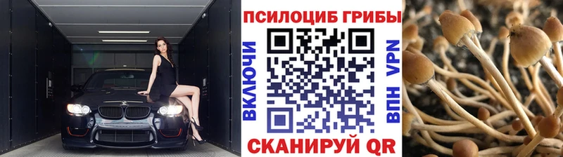 купить  сайты  Сортавала  Псилоцибиновые грибы Magic Shrooms 